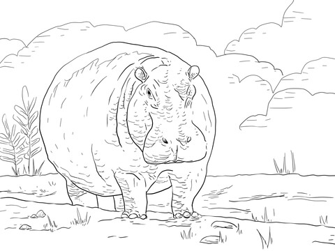 Hippo At Dawn Coloring Page